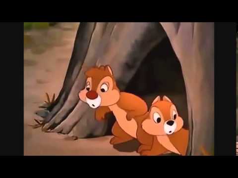 Chip And Dale Cartoons | Disney Cartoon Characters 